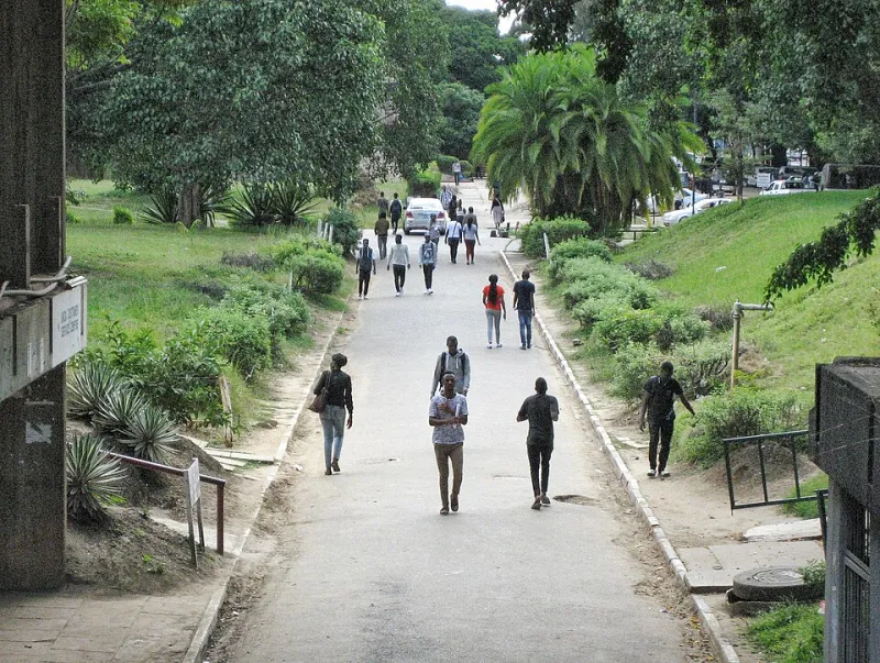 Diplomacia do Conhecimento: Como as Parcerias Acadêmicas Brasil-Moçambique Estão Forjando os Líderes do Amanhã