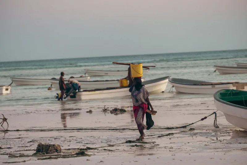 Hospitalidade que Transforma: O Papel das Empresas Brasileiras no Turismo Comunitário de Moçambique
